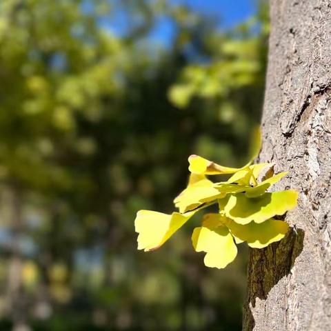 随手拍，如同我每天的日记，在寻找快乐中做自己喜欢的事。