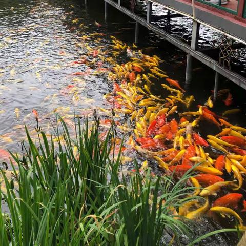 2022下半年那点事