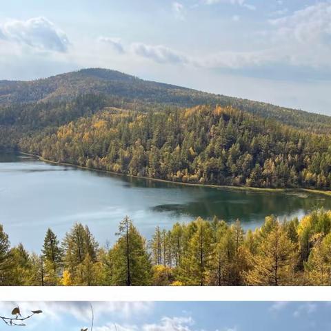 金秋醉美森林景区【阿尔山国家森林公园】