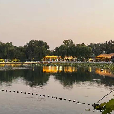 什刹海·西海湿地公园