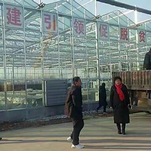 张八桥镇第三党总支姚店铺村发展村集体经济初探___发展香菇生产