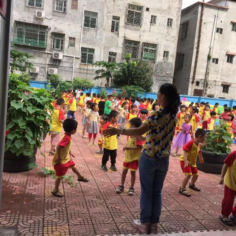 浈阳幼儿园西瓜四班户外活动记录