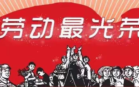 用理论武装头脑，以实干笃定前行——记国昌综合实践活动组专业技能测评