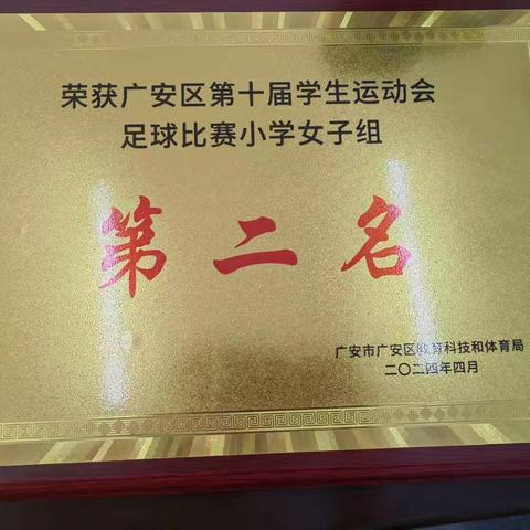 热烈祝贺广安区恒升镇小学校在广安区第十届足球比赛中取得优异成绩