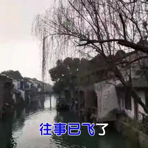 我的乌镇游