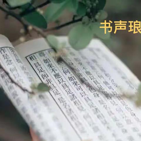 大名县实验小学一（4）班我是小小朗读者：美文诵读大展台（二）