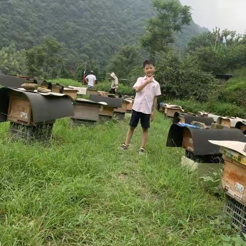 “劳动强意志，实践促成长＂一一我的暑期劳动实践篇