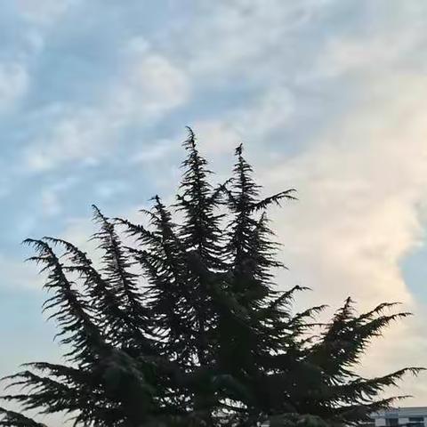 书香陪伴快乐成长