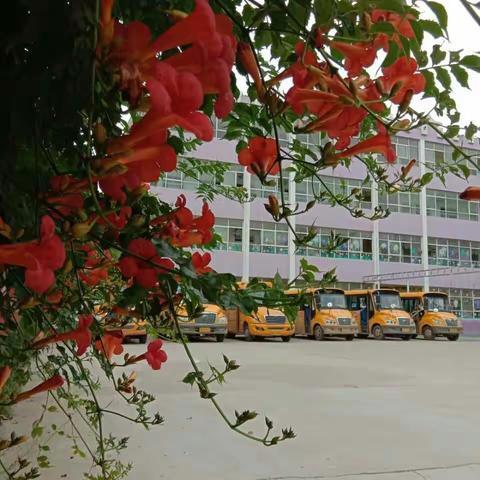 秋天里的旭日幼儿园