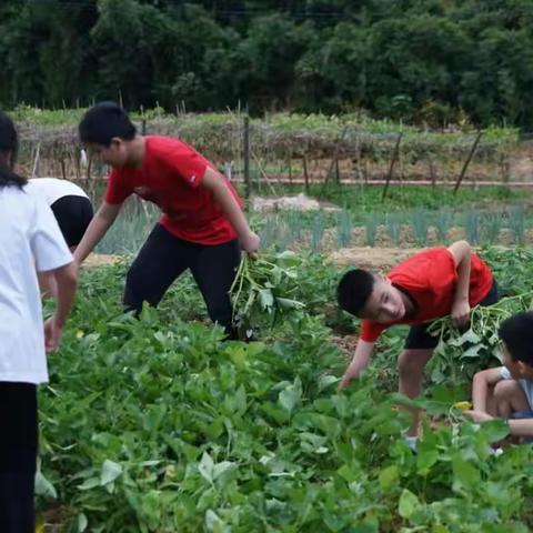 青少年户外科普教育一日游