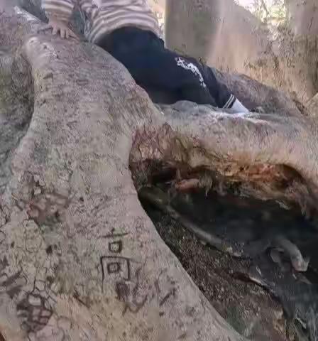 残酷的温柔的美篇