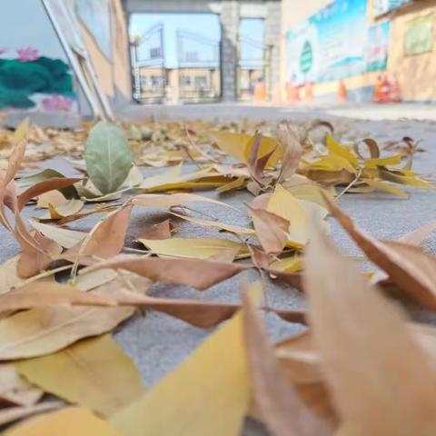 把秋天装进篮子里