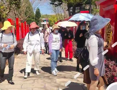 巾帼心向党▪建功新时代