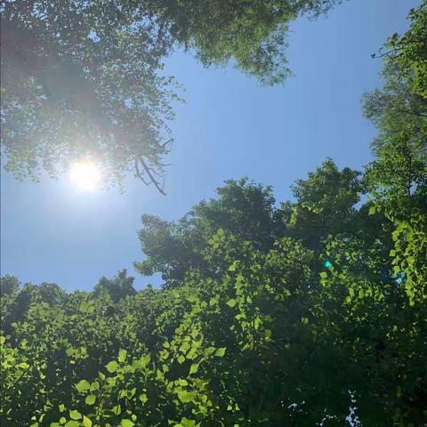 一决“词”雄——高一年级举行英语词汇大赛