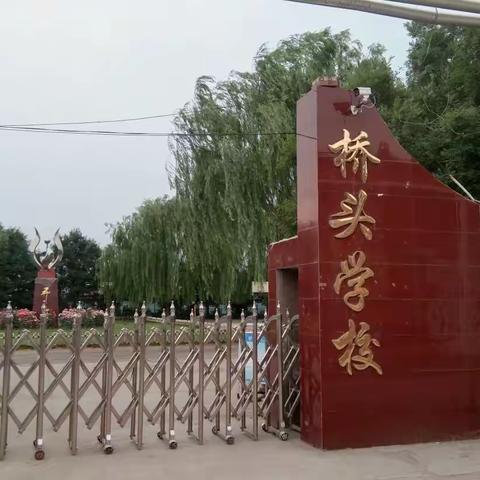 观摩共学习 携手促成长 ------记桥头幼儿园半日观摩活动