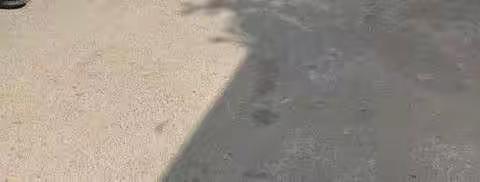 精心谋篇结硕果 17家媒体“组团”采访淄博高新区垃圾分类推进工作