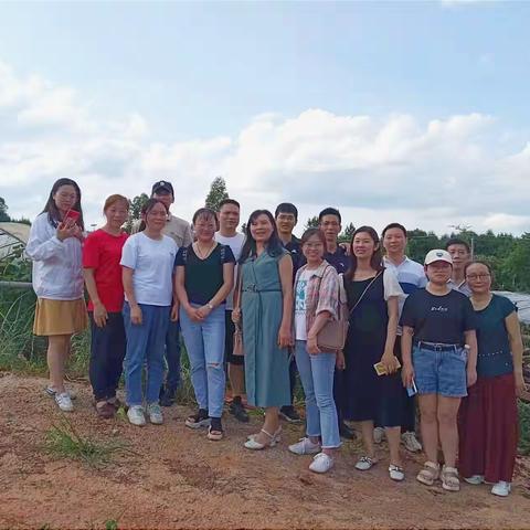 葡萄采摘欢乐多，政务姊妹心胸舒