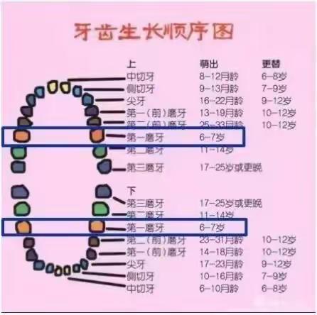 红幼亲子乐园（第14期）