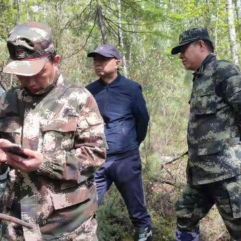 集团公司生态修复处深入呼中林业局调研制定偃松抚育标准