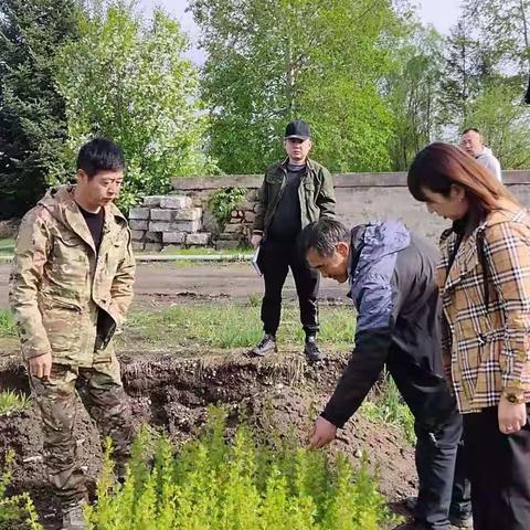 林木种苗管理总站杨启志、胡庆雷深入呼中林业局对春季造林苗木质量现地指导工作