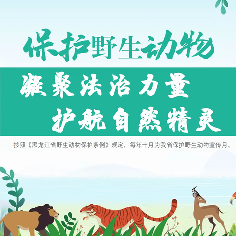 凝聚法治力量   护航自然精灵