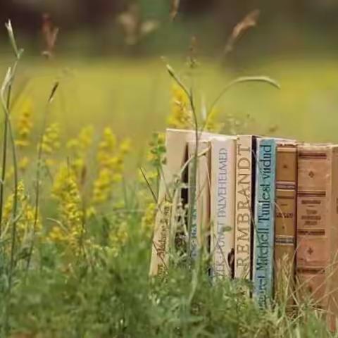 雕琢嗟成器，课课皆闪光