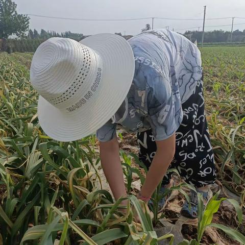 用心记录每个美好瞬间！