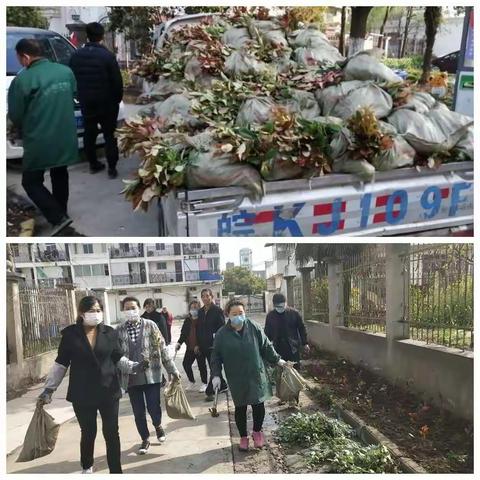 关于依心明园物业整改绿化的简报