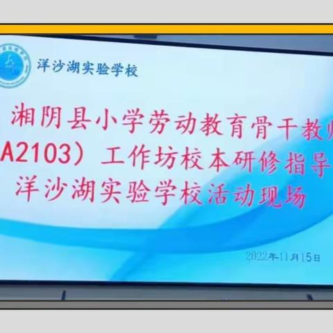 研出特色，磨出精彩——“国培计划2022”湘阴县小学劳动教育骨干教师工作坊（A2103）第二次送教下乡暨校本研修指导