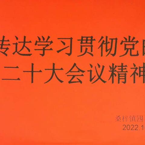 为党育人，为国育才，踔厉奋发，勇毅前行——桑梓镇四百户中心小学学习贯彻党的二十大会议精神