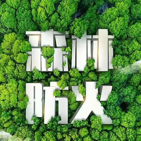 情系一片绿 心防一把火——培头小学森林防火教育总结