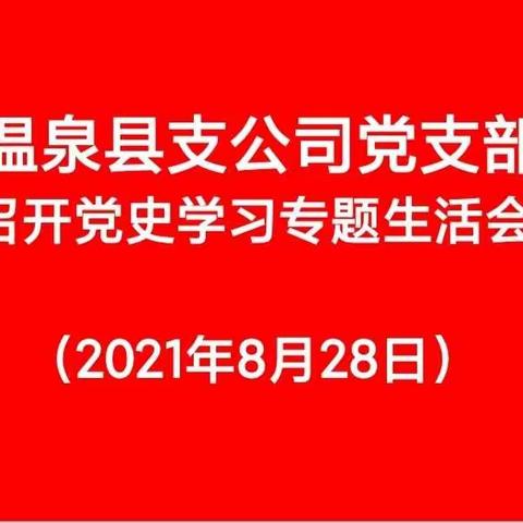 温泉县支公司党支部党史学习专题组织生活会
