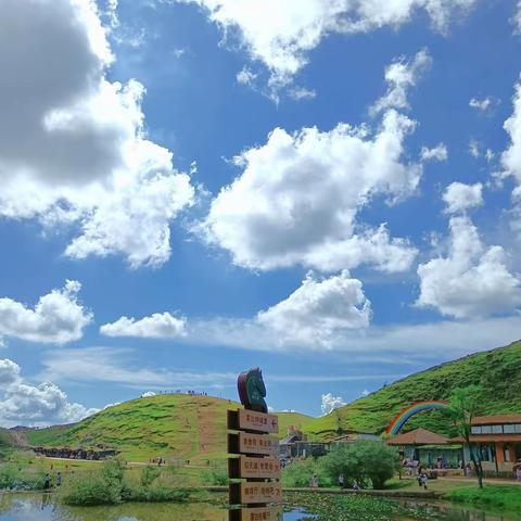 难忘的暑假时光