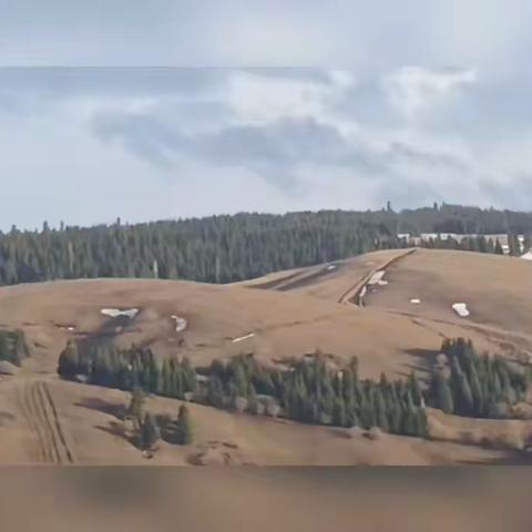 草原的孩子 在广阔的草原中快乐的成长，草原给予了他们善良的心，热情直爽的性格。