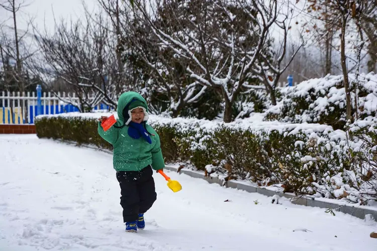 雪染的风采（3）