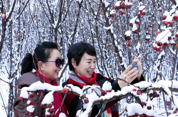 雪染的风采（2）