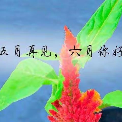 永远的大十班