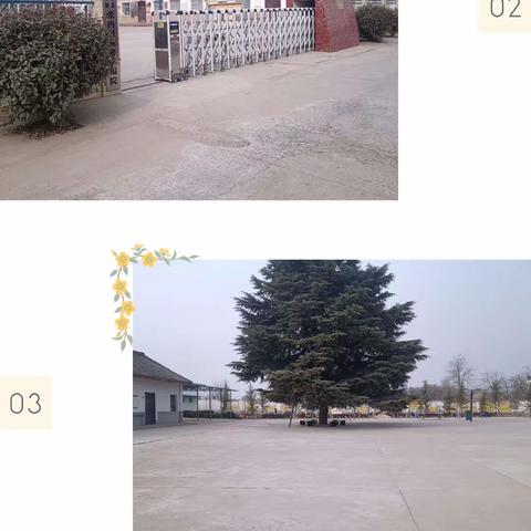 情系幸福院💗爱在夕阳红