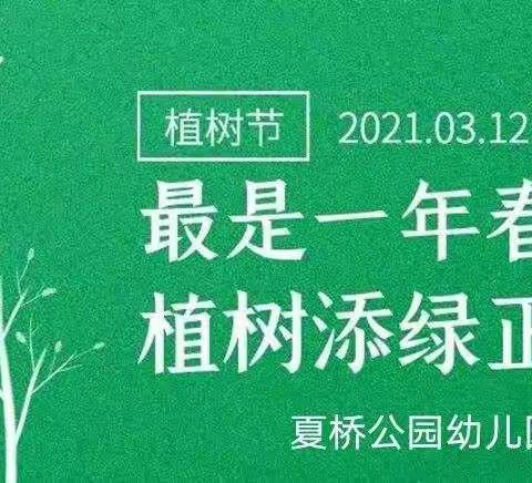 回归自然，快乐成长——夏桥公园幼儿园大班“树的生成”主题活动