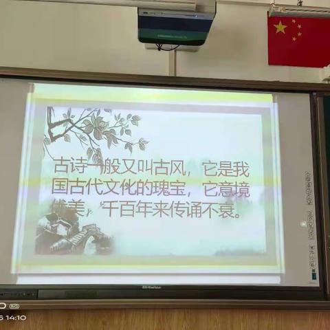 育新实验小学四一班|相约诗词，激情闯关