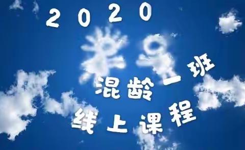 🍃“精彩童年，巧手玩出大智慧”————平舆二幼混龄一班大组线上活动🍃