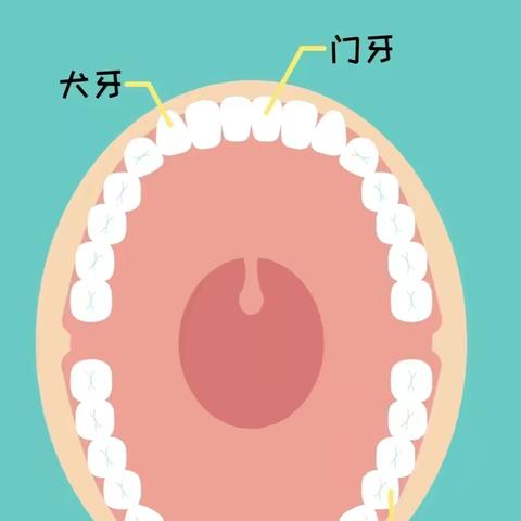 “口腔健康，全身健康”——县直第四幼儿园爱牙日主题活动