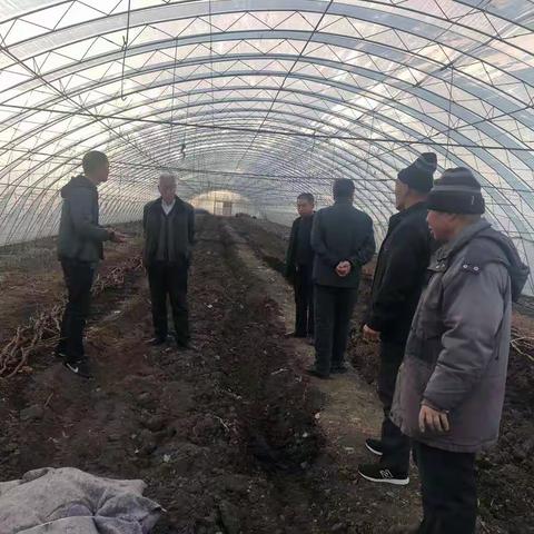 确保扶贫项目资金安全使用 河西街道回民村扶贫资金使用义务监督员入企业进行查看