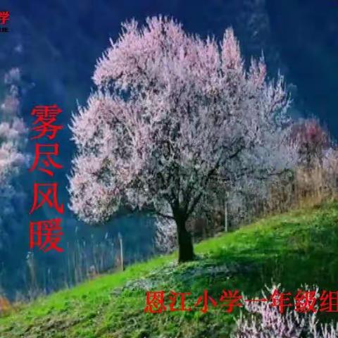 樱花将灿 雾尽风暖——恩江小学一年级教师经典诵读活动精彩回放