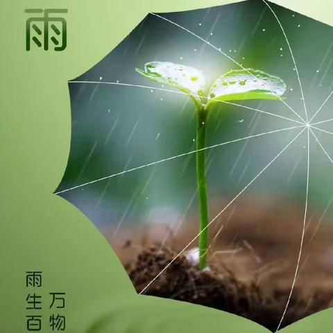 “山昏函谷雨，木落洞庭波”王庄小学二十四节气之谷雨活动纪实