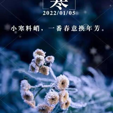 “始觉风雪至，已是小寒生”西辛店学区王庄小学二十四节气之小寒综合实践活动