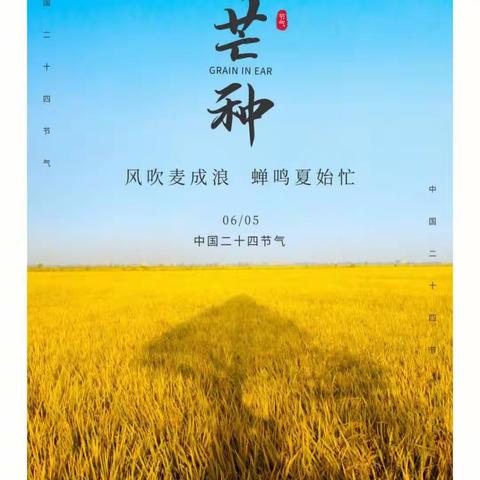 “麦前蹲苗，麦口浇花”——西辛店学区王庄小学二十四节气之芒种活动纪实