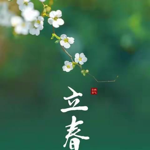 “立春一日，百草回芽”——西辛店学区王庄小学二十四节气之立春综合实践活动