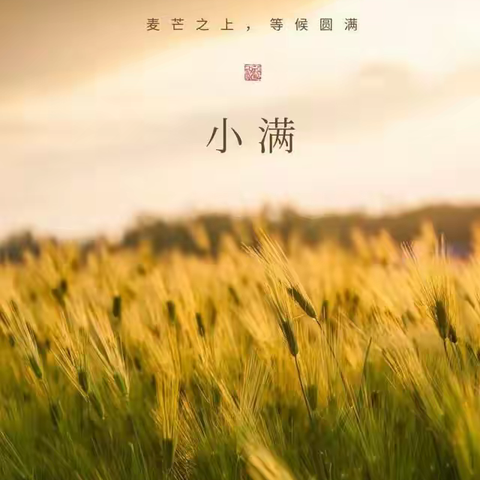“小满小满，江河渐满”——王庄小学二十四节气之小满节气活动纪实