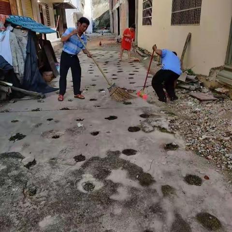 吉阳区南新居大力开展人居环境整治 村庄清洁行动2020-12-3 工作日记